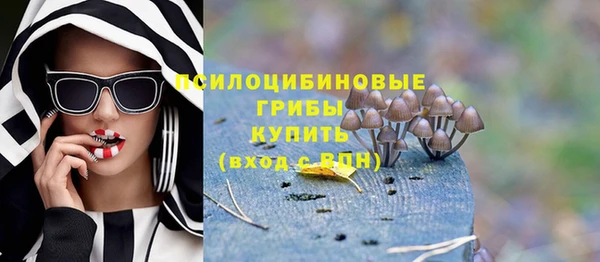 СК Абинск