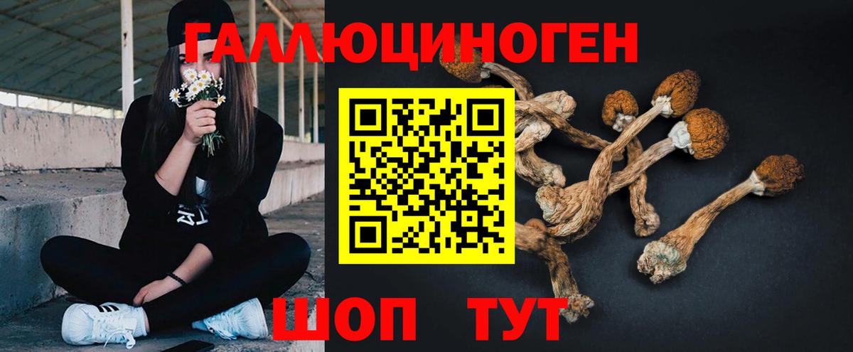 Сертолово  Псилоцибиновые грибы GOLDEN TEACHER  закладка  Вход с VPN 